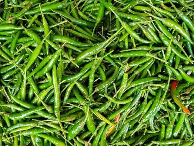Batch cooking : organiser efficacement une semaine de repas