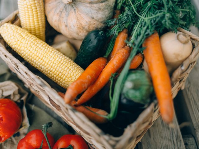 Comment une alimentation végétale peut-elle améliorer ma santé ?