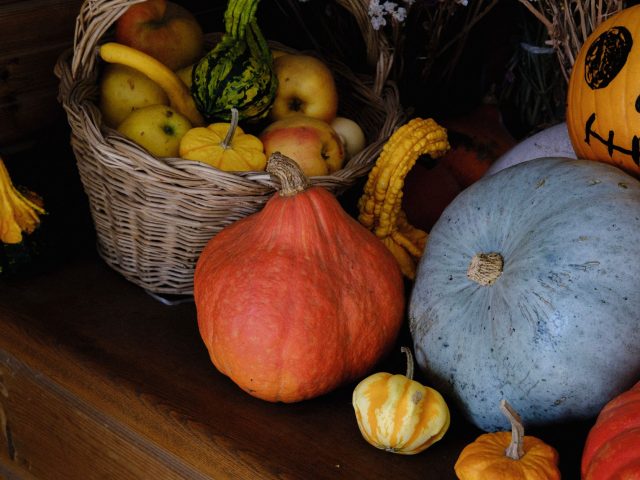 Quels aliments privilégier en automne pour une santé optimale ?