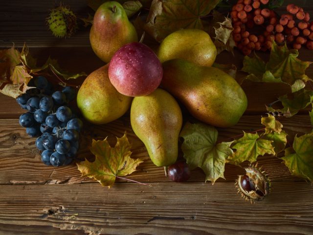 Les Aliments à Consommer pour Rester en Bonne Santé en Automne